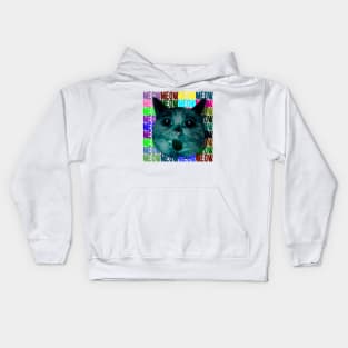 cat rofl meow mem space nature Kids Hoodie